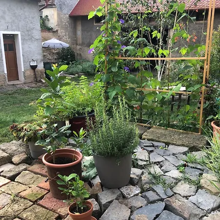 In A Stone House With A Beautiful Garden