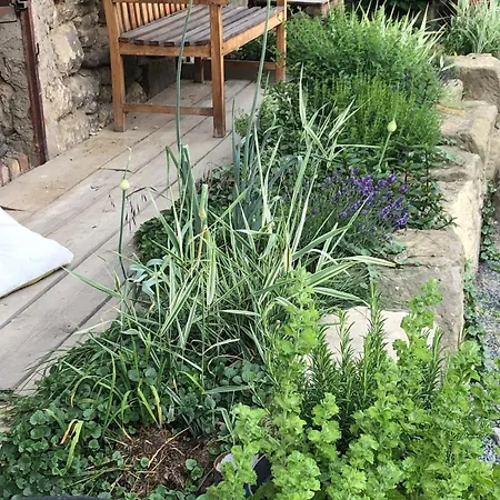 In A Stone House With A Beautiful Garden Lägenhet *
